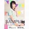 AKB48 Netshop Mei 2017 custome4.jpg