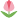 18 Tulip.png