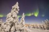 AuroraRovaniemi20180131-0201.JPG