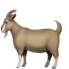 goat_1f410.png