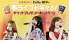 nogizaka46-2020-live-cupstar-03.jpg