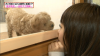 (NMB48) NMB48 no naisho de genkai toppa！ ep13 150105.mp4_snapshot_38.20_[2015.01.06_22.31.17].png