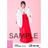 Netshop Januari 2017 Miko Costume5.jpg
