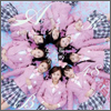 AKB48 Single 20