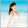 AKB48 Single 36