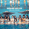 SNH4824thCover.jpg