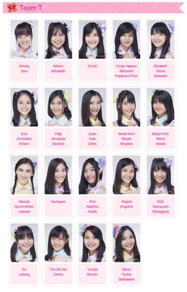 File:TeamTDec2016.png