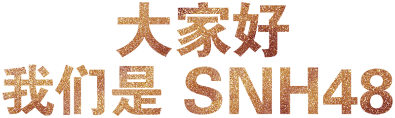 File:SNH484thAnniversary.png