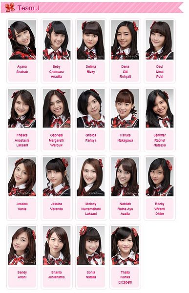 File:TEAMJ2015.jpg