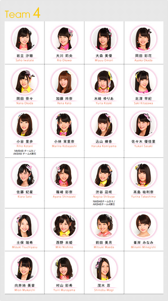 File:Team42014New.png