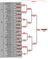 Thumbnail for version as of 22:09, 25 February 2012