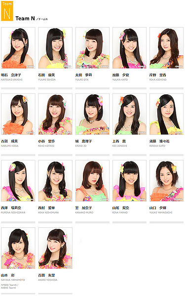 File:TeamN2015.jpg