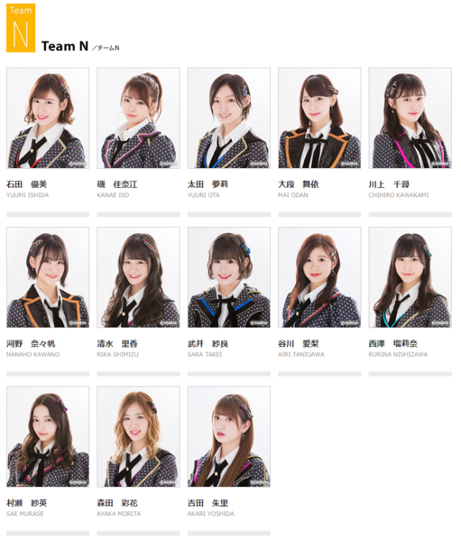 File:TeamNMay2019.png